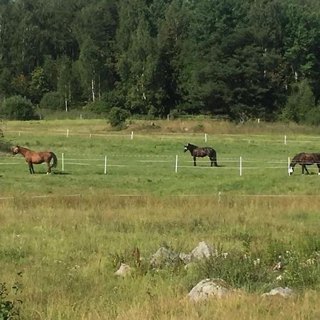 Egen Laegenhet I 2-Familjshus Pa Landet. Tierp Exterior foto