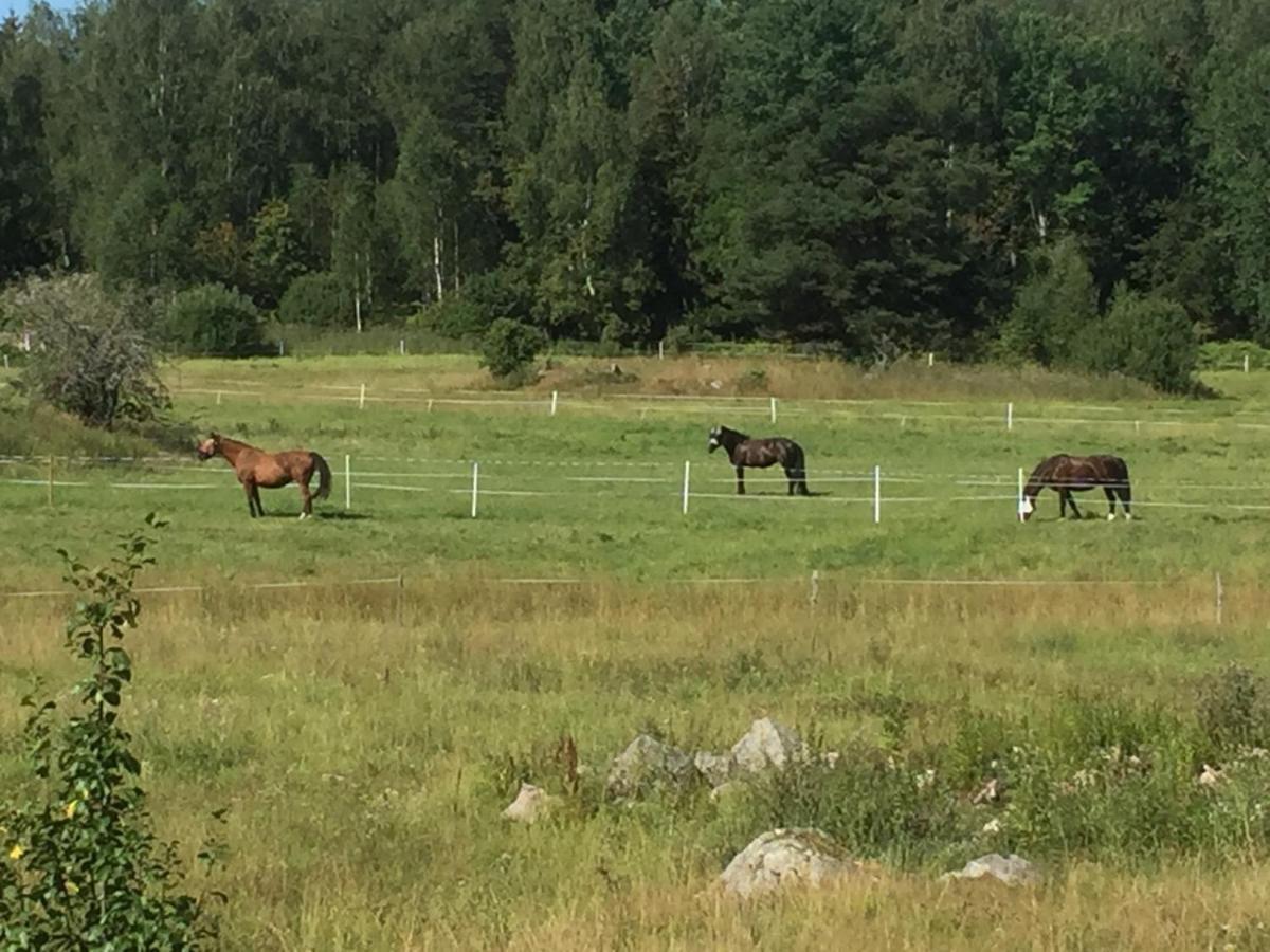 Egen Laegenhet I 2-Familjshus Pa Landet. Tierp Exterior foto